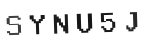 Verification Code Image