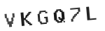 Verification Code Image