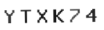 Verification Code Image